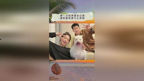 娱乐吃瓜抖音小游戏,娱乐狂欢，指尖上的瓜田盛宴  第3张